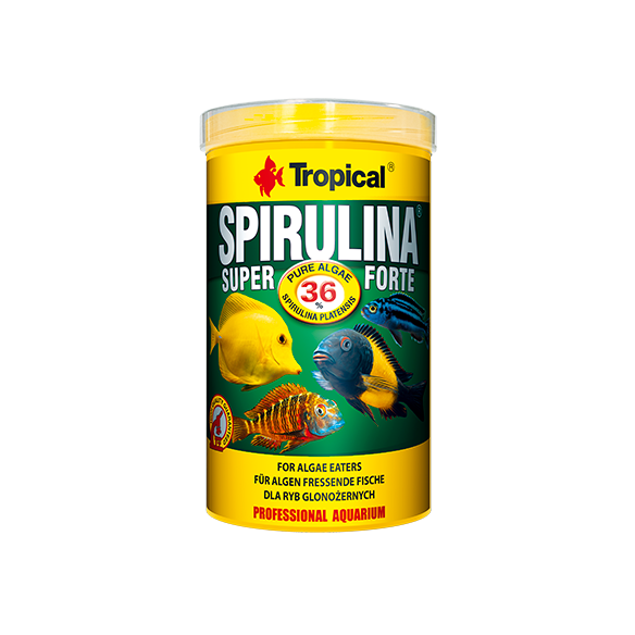 TROPICAL Spirulina Super Forte 36% 50g/250ml