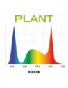 Aquael Leddy Smart 2 6W PLANT - black / white